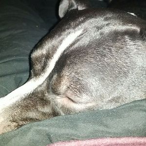 Meet your Posher, Kaitlyn